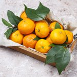 🚛 The first batch of Georgian tangerines has been exported.