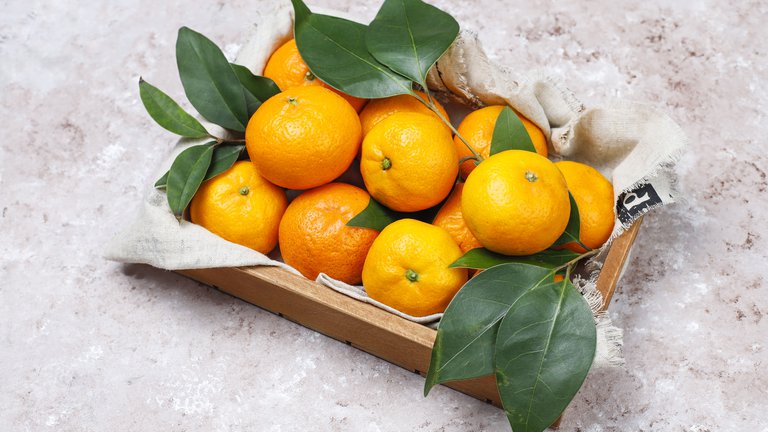 🚛 The first batch of Georgian tangerines has been exported.