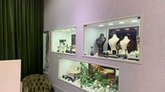 Delfos Jewellery