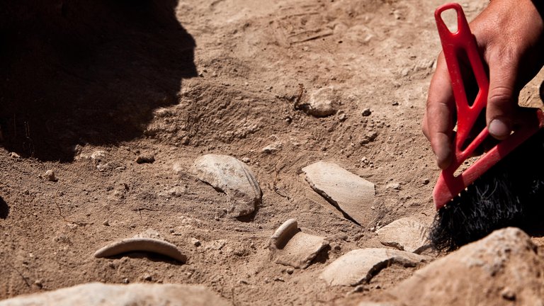 ქართველი არქეოლოგების აღმოჩენამ შეიძლება "ჭექა-ქუხილი" მთელ მსოფლიოში