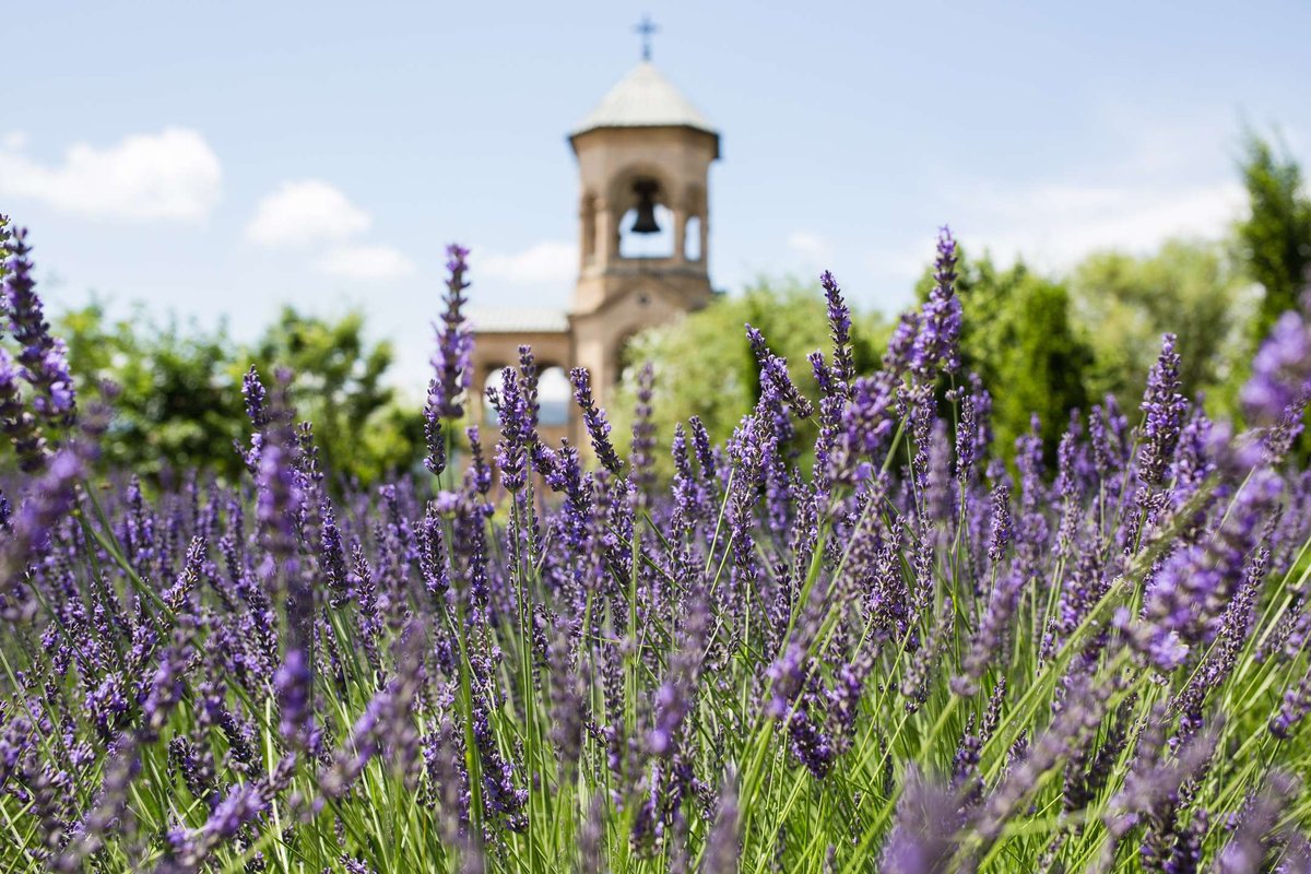 the-tbilisi-holy-trinity-cathedral.original