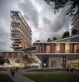 TIMM Architecture