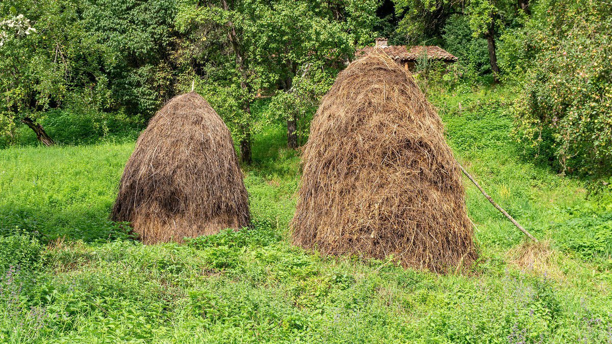 traditional-hay-bales-pshavi-highland-region-georgia-caucasus.jpg