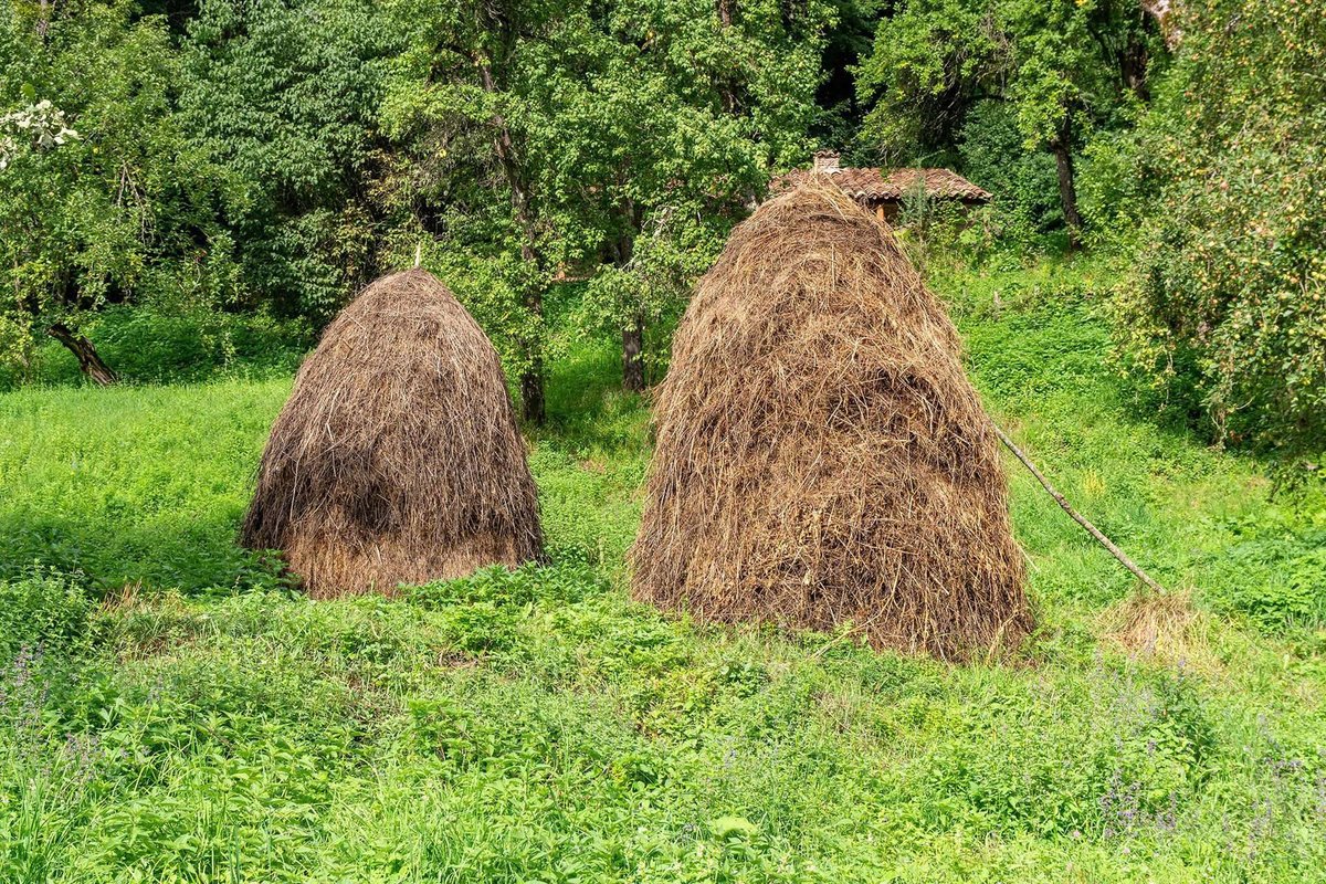 traditional-hay-bales-pshavi-highland-region-ge.original