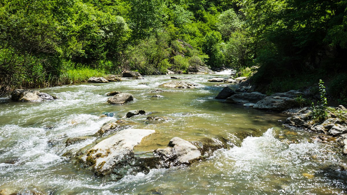 Горная река в Кутаиси