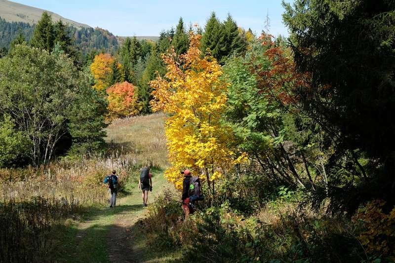 The lumberjack trail from Borjomi to Chobyskevi
