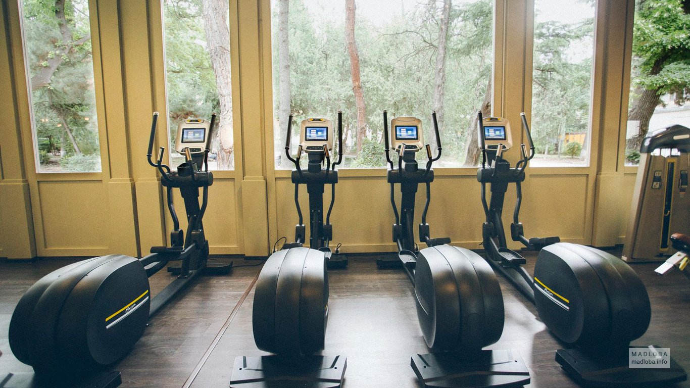 Classes at the Urban Garden fitness center in Tbilisi on an annual
