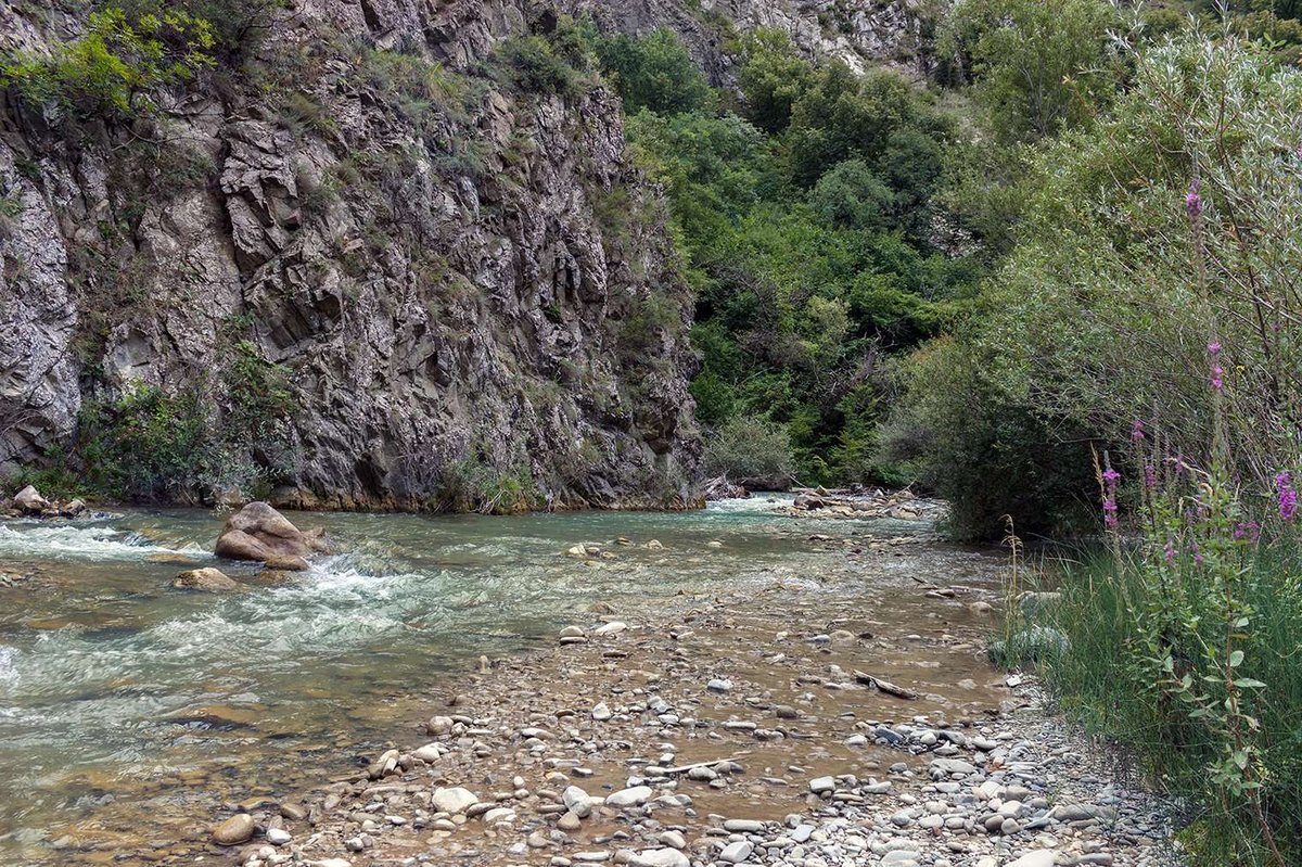 ushchele-tana-v-gruzii-01.original