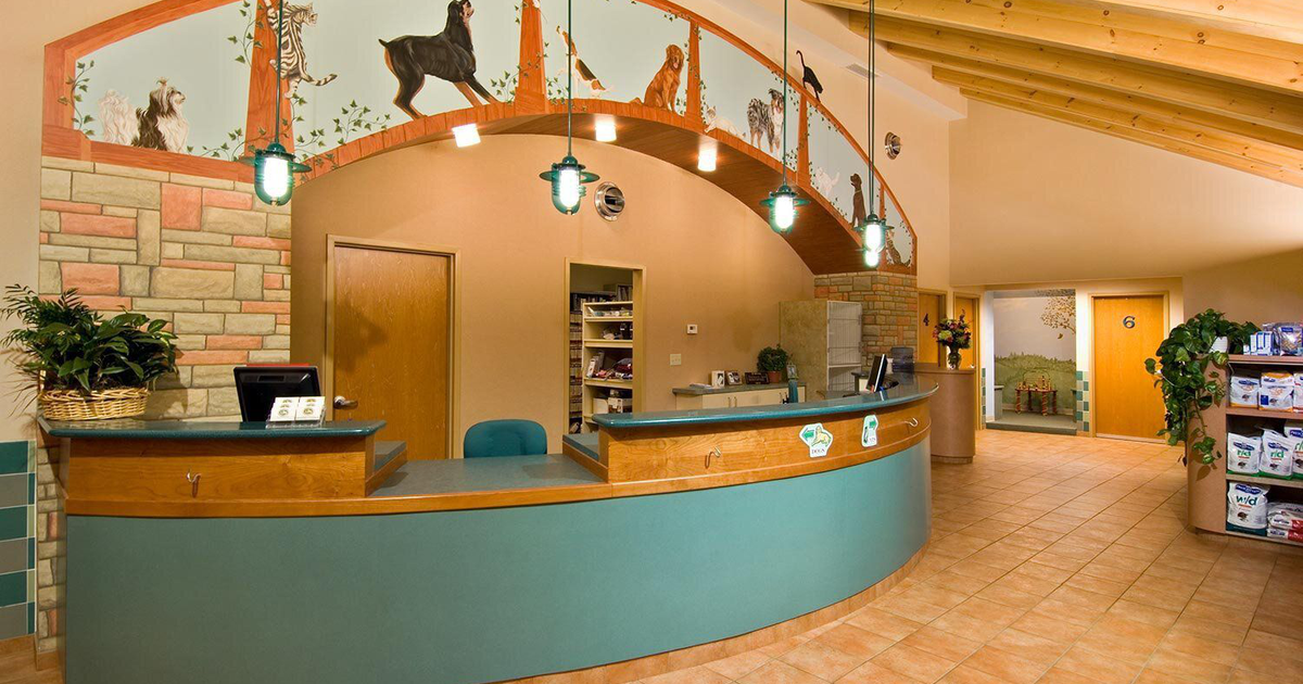 Quality Veterinary Care in New Veterinary Clinic Compassionate