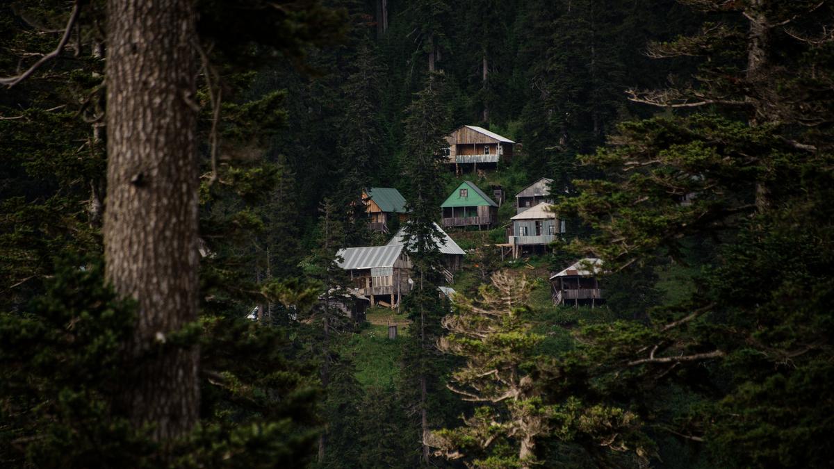 Домики на склоне горы в лесу
