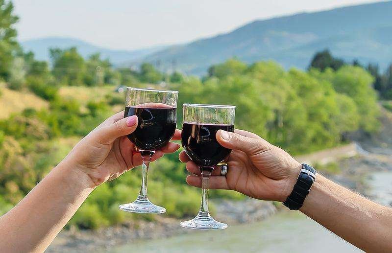 two glasses of red wine against a vineyard background