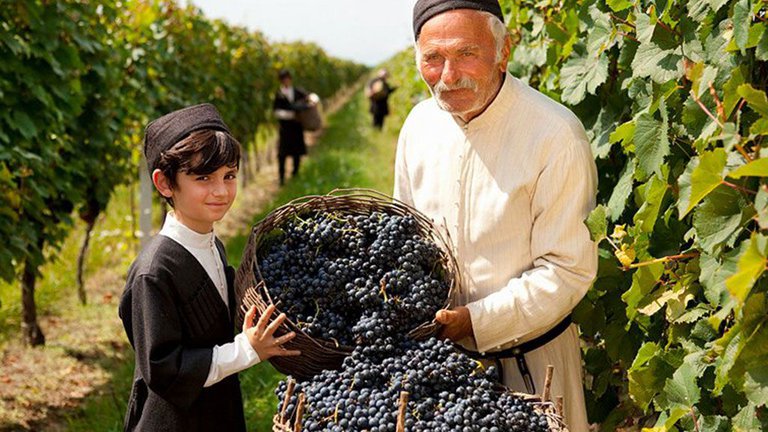 Удивительные факты о виноделии Грузии