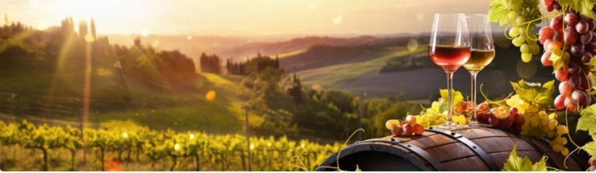 виноградные плантации на фоне заката, виноград и бокалы вина крупным планом.jpg