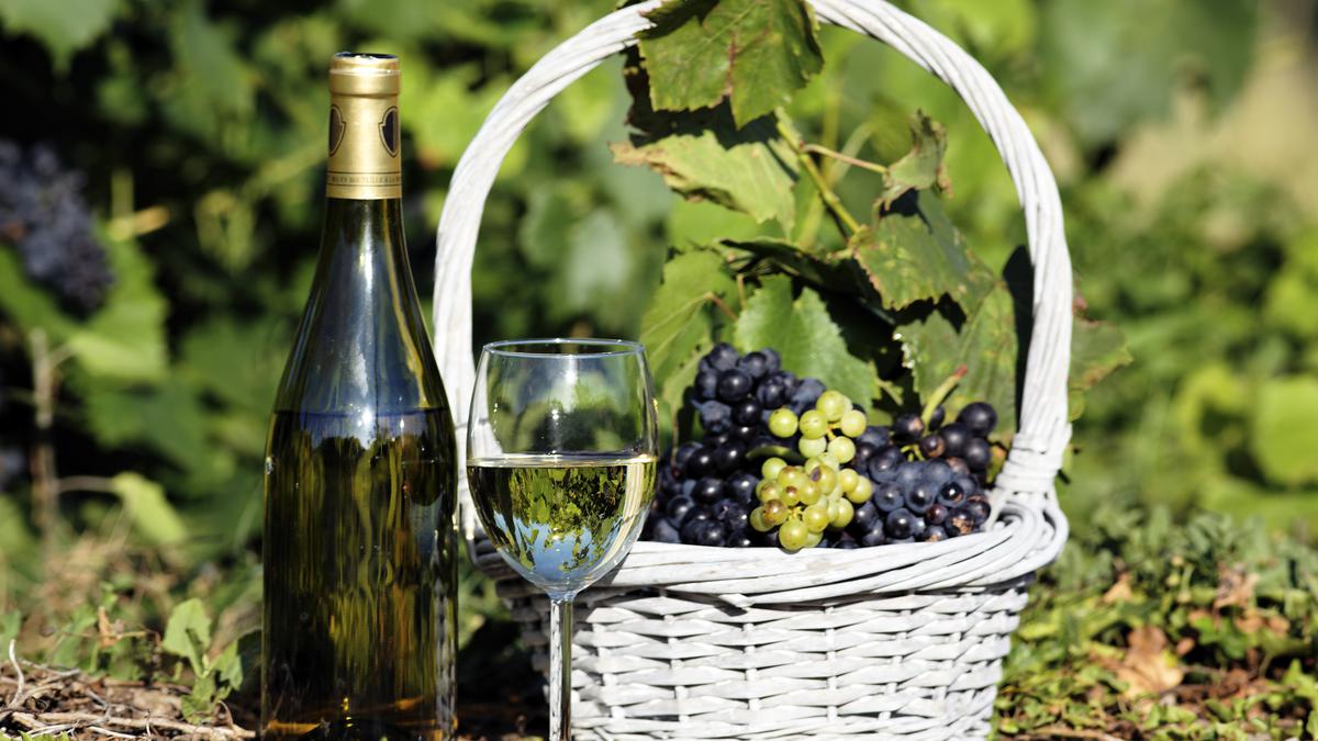 Белое вино в бокале, бутылка и виноград в корзине