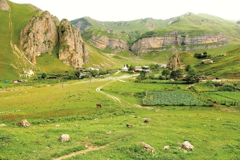 Zinobiani
